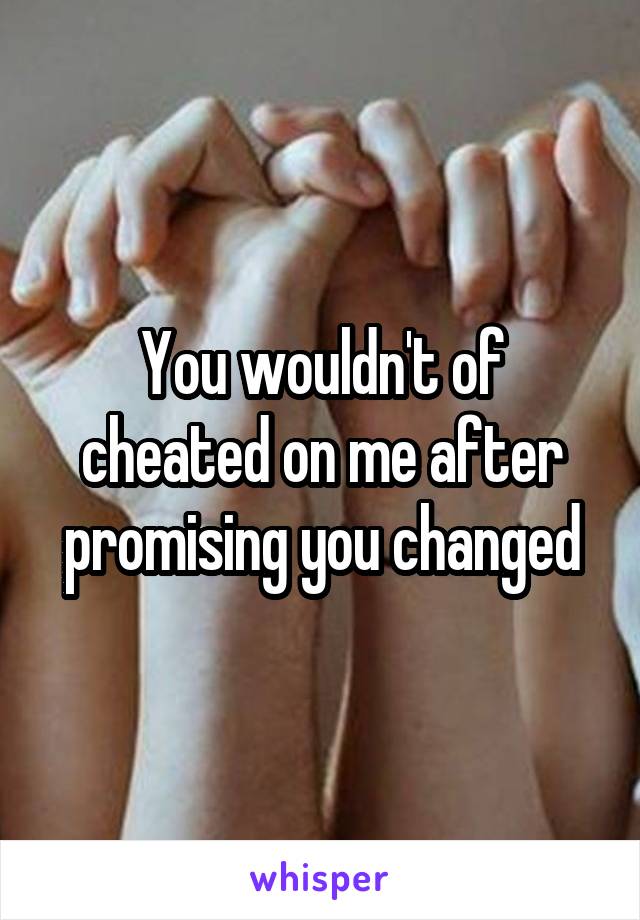 You wouldn't of cheated on me after promising you changed