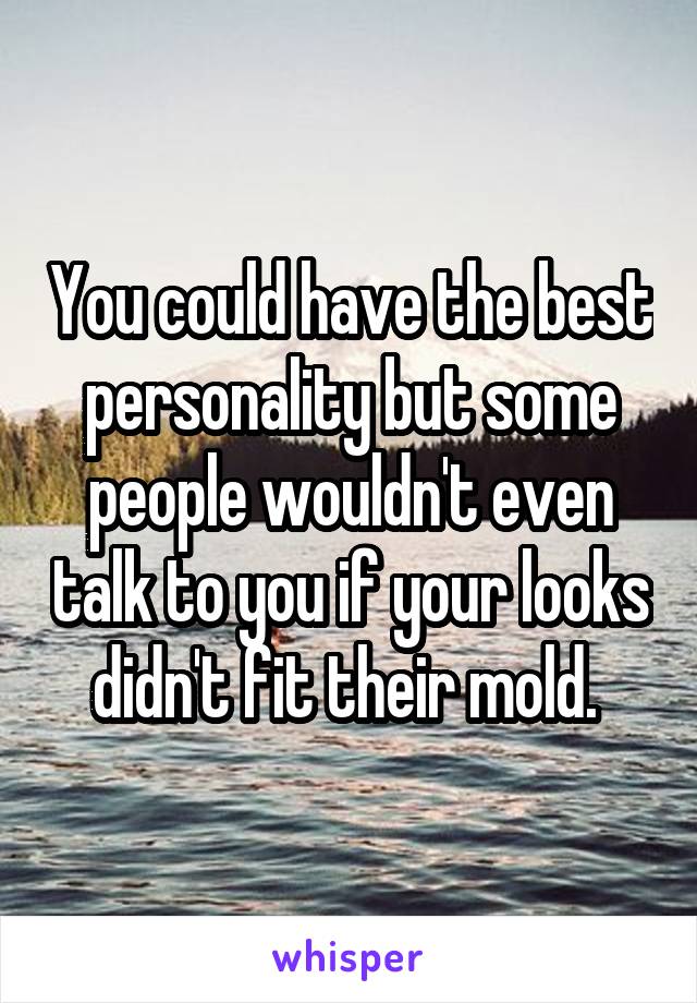 You could have the best personality but some people wouldn't even talk to you if your looks didn't fit their mold. 