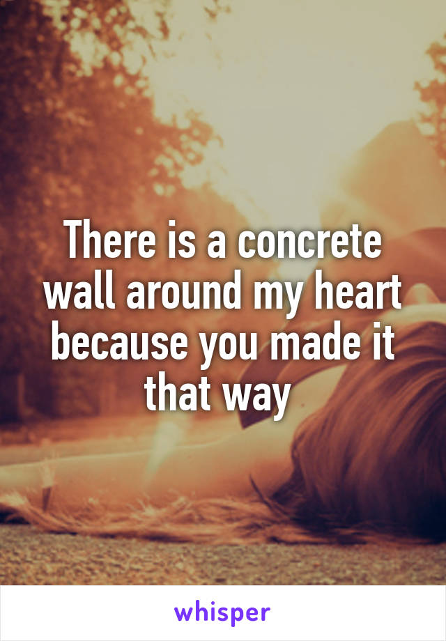 There is a concrete wall around my heart because you made it that way 