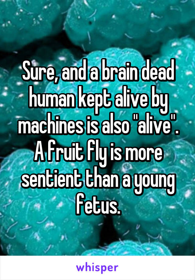 Sure, and a brain dead human kept alive by machines is also "alive".
A fruit fly is more sentient than a young fetus.