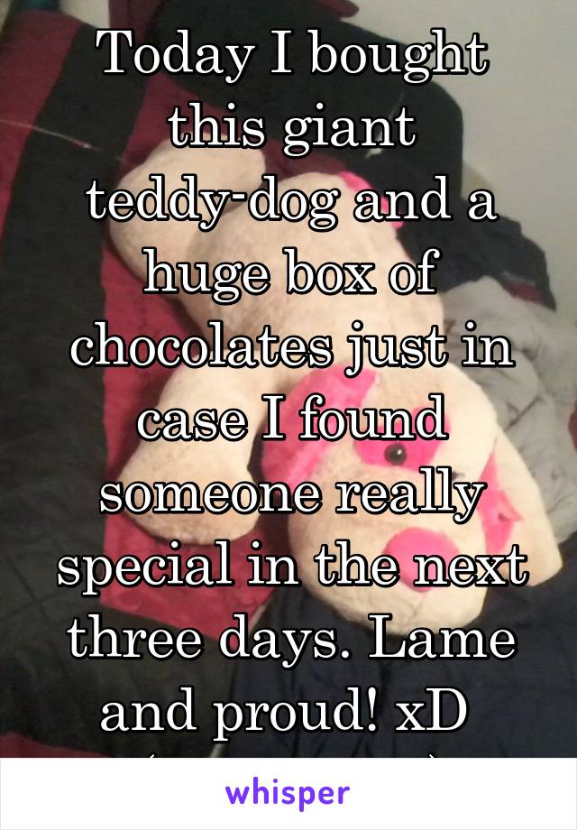Today I bought this giant teddy-dog and a huge box of chocolates just in case I found someone really special in the next three days. Lame and proud! xD 
(Queen bed)