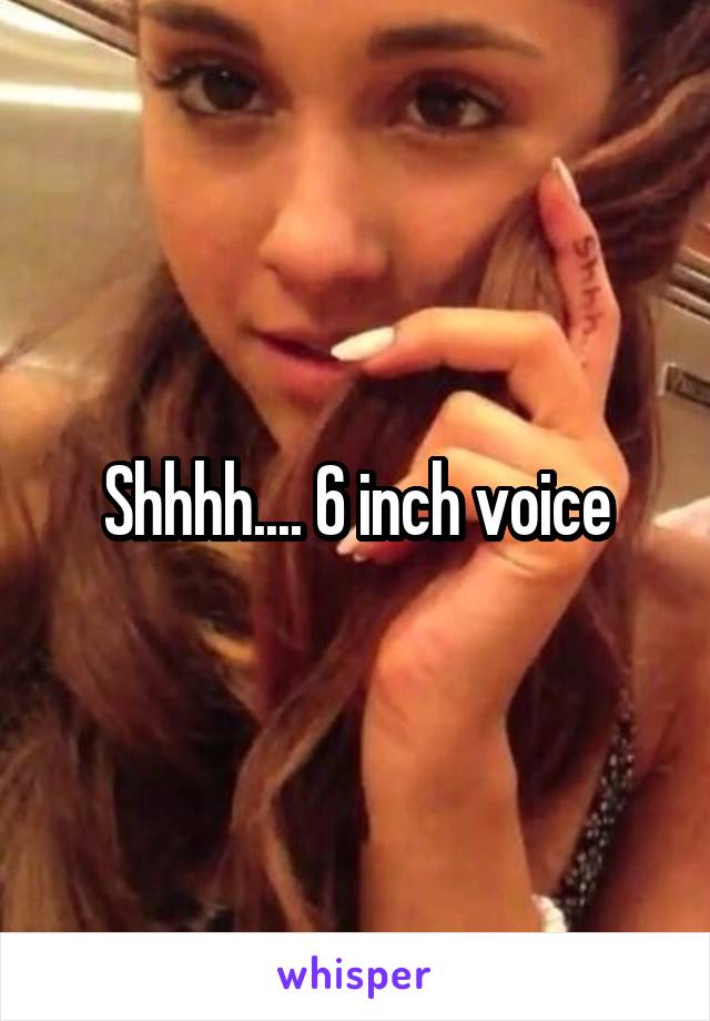 Shhhh.... 6 inch voice