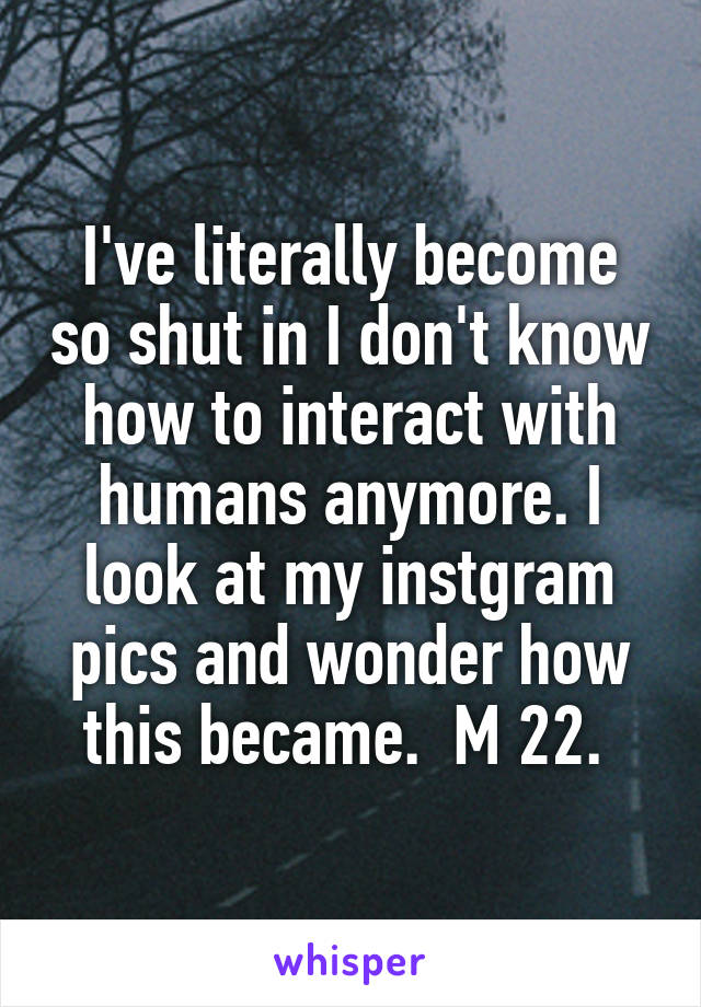 I've literally become so shut in I don't know how to interact with humans anymore. I look at my instgram pics and wonder how this became.  M 22. 