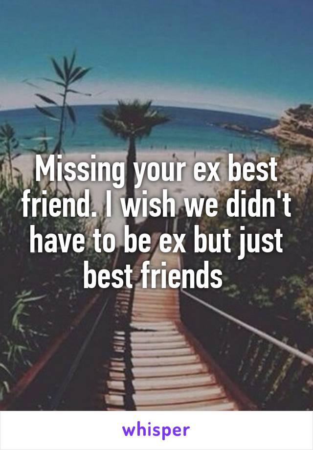 Missing your ex best friend. I wish we didn't have to be ex but just best friends 