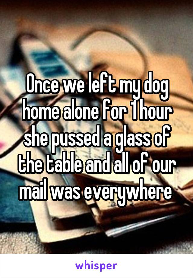 Once we left my dog home alone for 1 hour she pussed a glass of the table and all of our mail was everywhere 