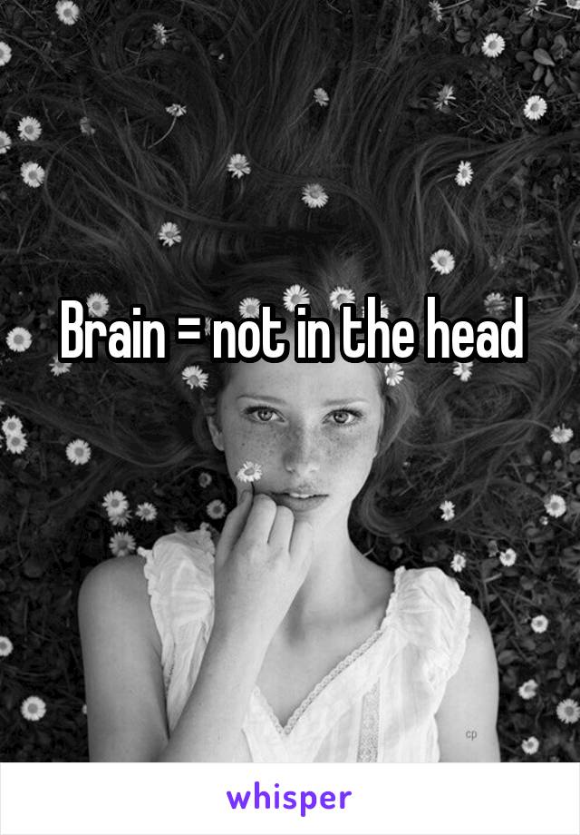 Brain = not in the head

