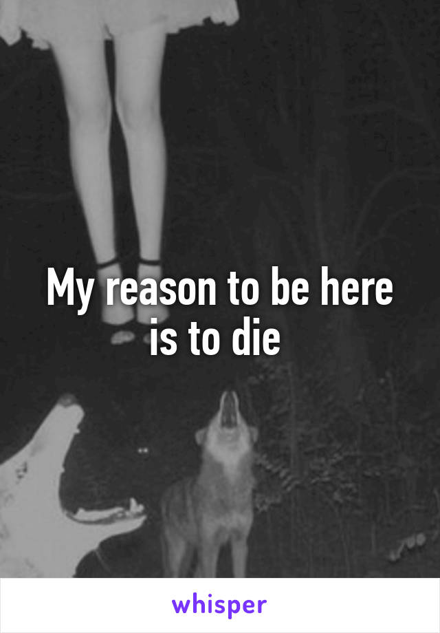 My reason to be here is to die 