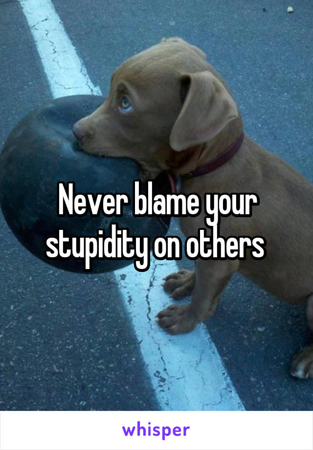 Never blame your stupidity on others 