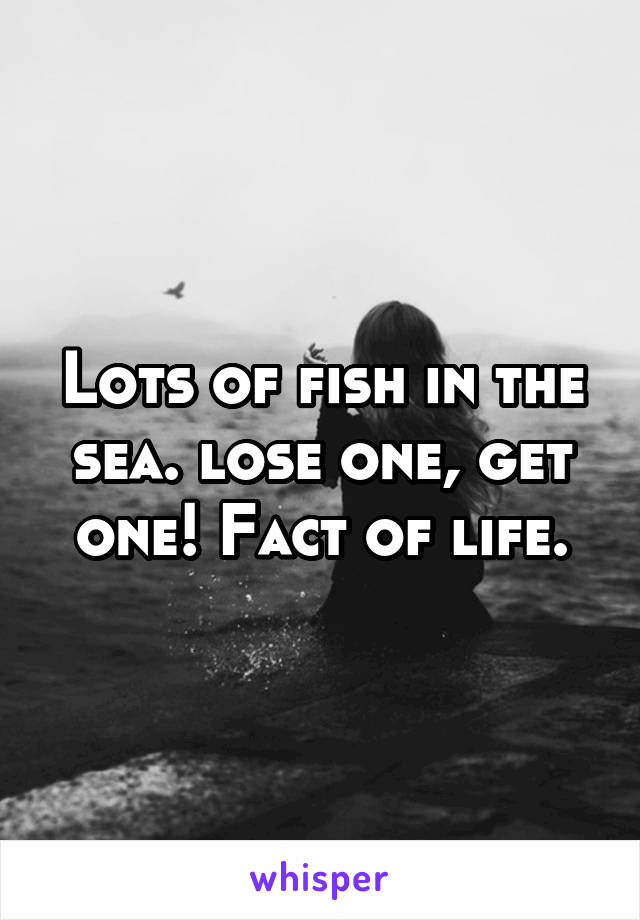 Lots of fish in the sea. lose one, get one! Fact of life.