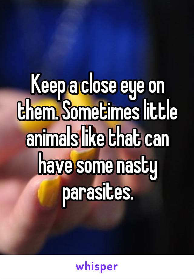 Keep a close eye on them. Sometimes little animals like that can have some nasty parasites.
