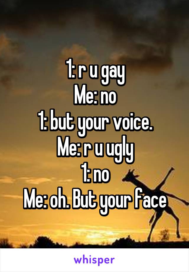 1: r u gay
Me: no
1: but your voice.
Me: r u ugly
1: no
Me: oh. But your face