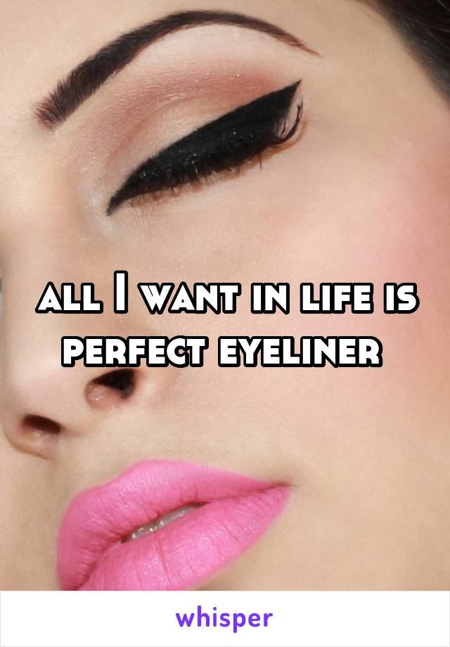 all I want in life is perfect eyeliner 