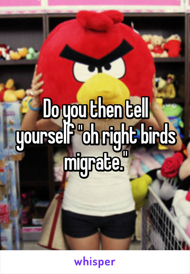 Do you then tell yourself "oh right birds migrate."