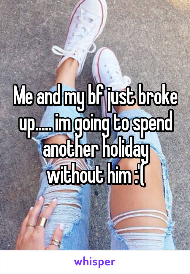 Me and my bf just broke up..... im going to spend another holiday without him :'(