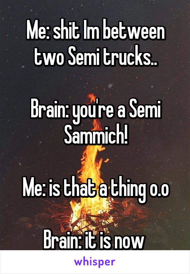Me: shit Im between two Semi trucks..

Brain: you're a Semi Sammich!

Me: is that a thing o.o

Brain: it is now 