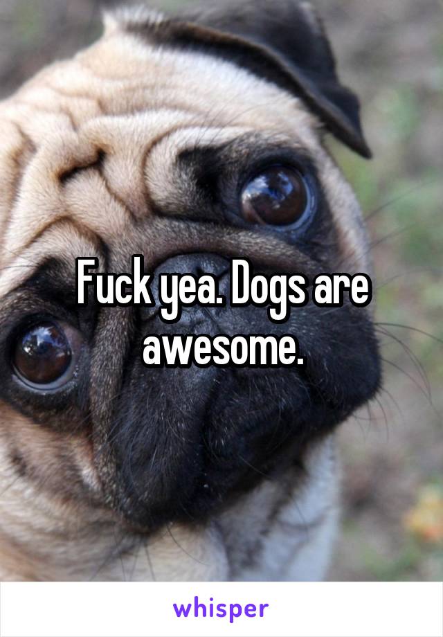Fuck yea. Dogs are awesome.
