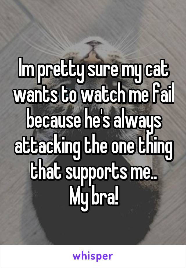 Im pretty sure my cat wants to watch me fail because he's always attacking the one thing that supports me..
My bra!