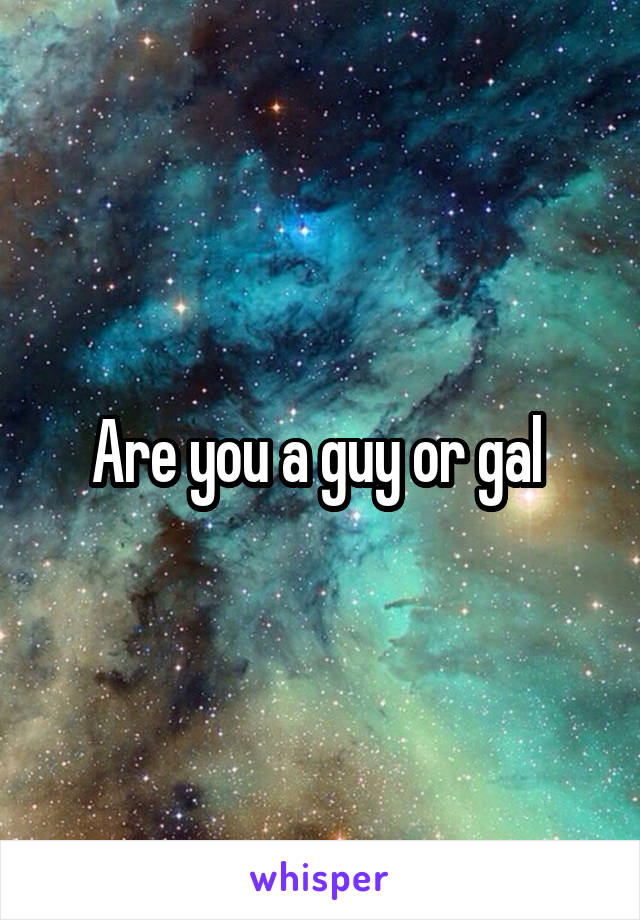 Are you a guy or gal 