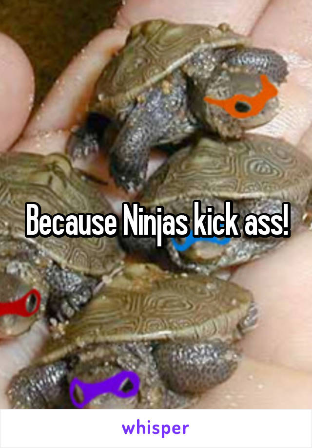 Because Ninjas kick ass!