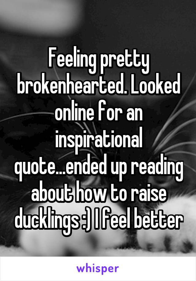Feeling pretty brokenhearted. Looked online for an inspirational quote...ended up reading about how to raise ducklings :) I feel better