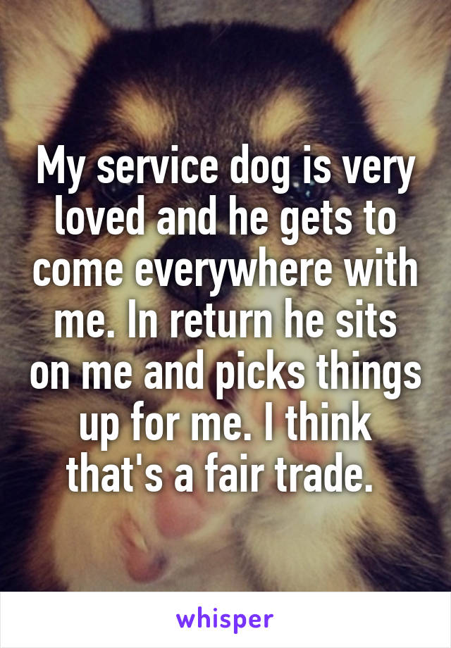 My service dog is very loved and he gets to come everywhere with me. In return he sits on me and picks things up for me. I think that's a fair trade. 