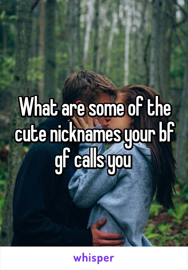 What are some of the cute nicknames your bf gf calls you 