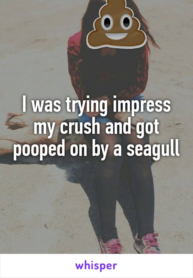 I was trying impress my crush and got pooped on by a seagull 