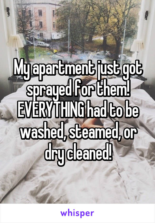My apartment just got sprayed for them! EVERYTHING had to be washed, steamed, or dry cleaned!
