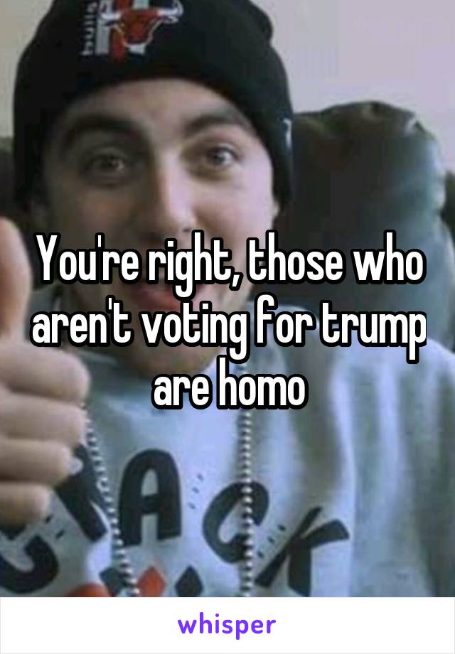 You're right, those who aren't voting for trump are homo