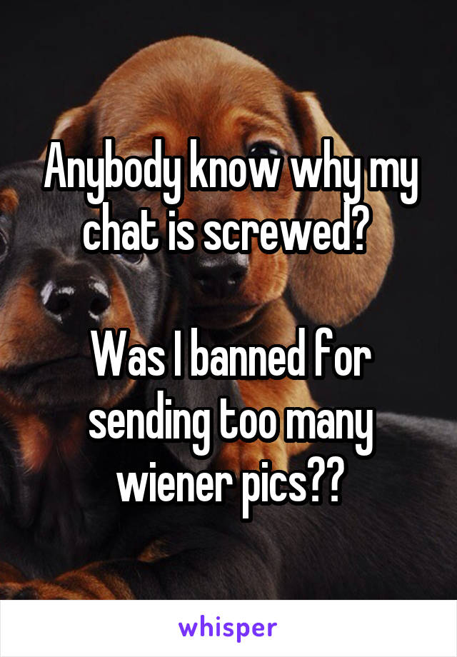 Anybody know why my chat is screwed? 

Was I banned for sending too many wiener pics??