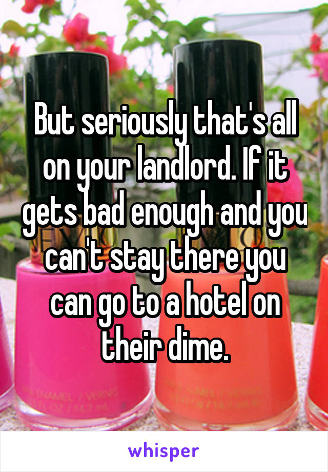 But seriously that's all on your landlord. If it gets bad enough and you can't stay there you can go to a hotel on their dime.