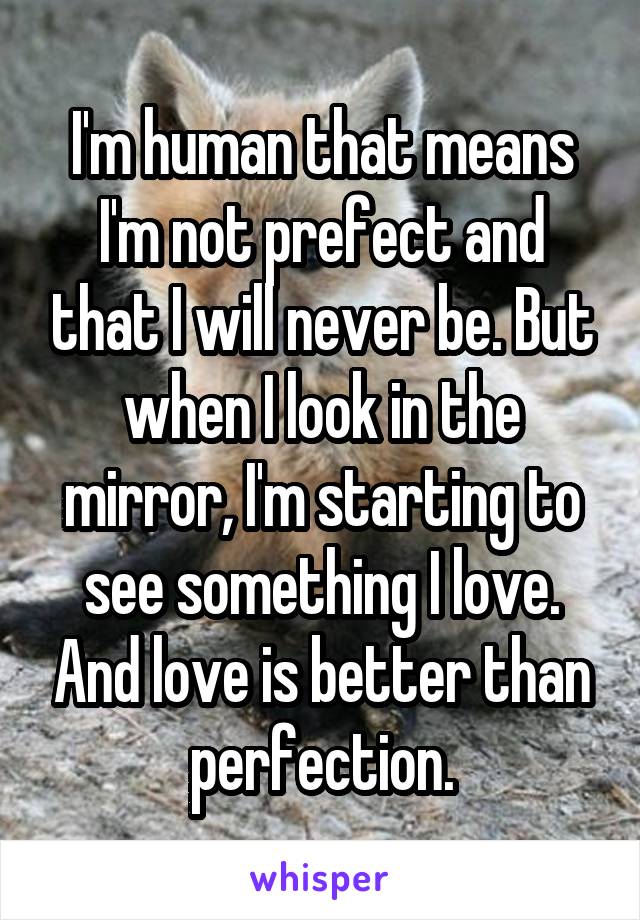 I'm human that means I'm not prefect and that I will never be. But when I look in the mirror, I'm starting to see something I love. And love is better than perfection.