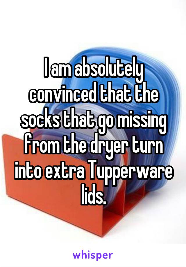 I am absolutely convinced that the socks that go missing from the dryer turn into extra Tupperware lids.