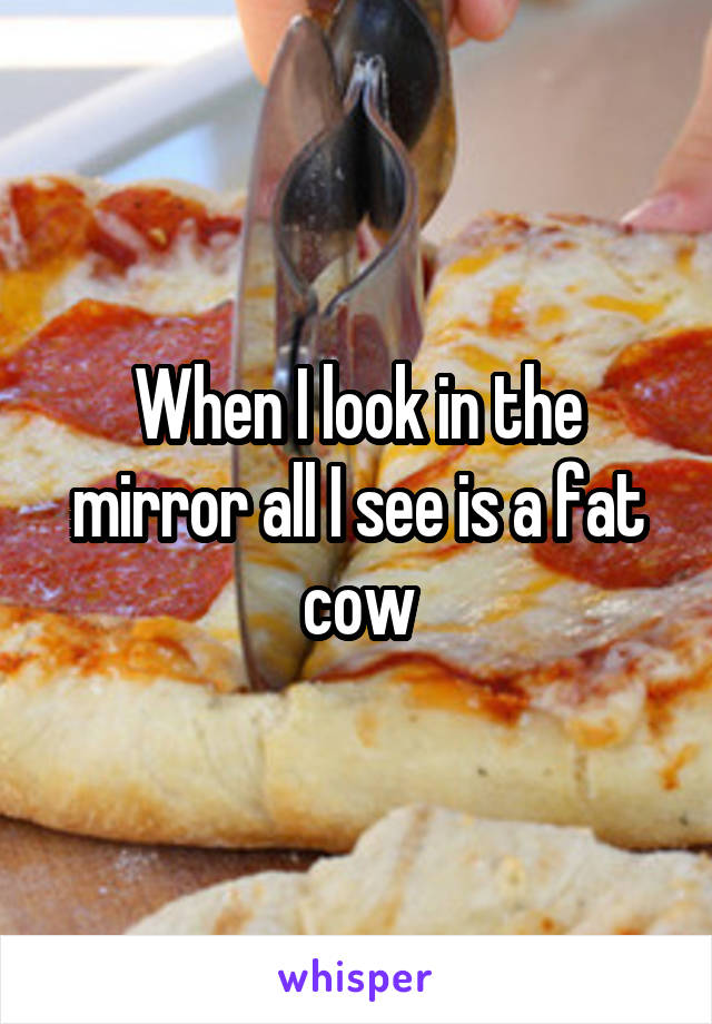 When I look in the mirror all I see is a fat cow