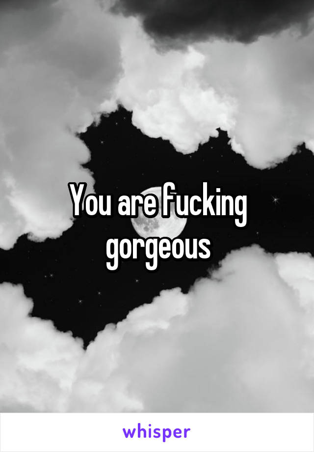 You are fucking gorgeous