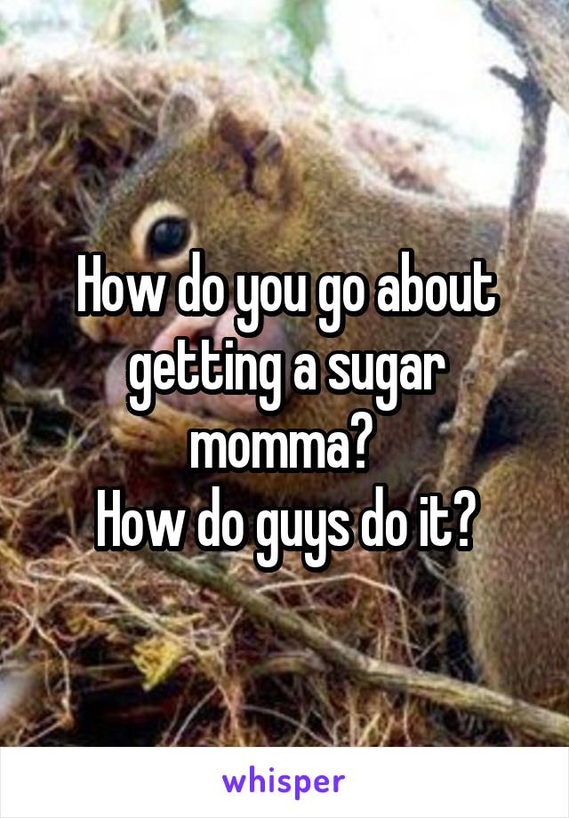 How do you go about getting a sugar momma? 
How do guys do it?