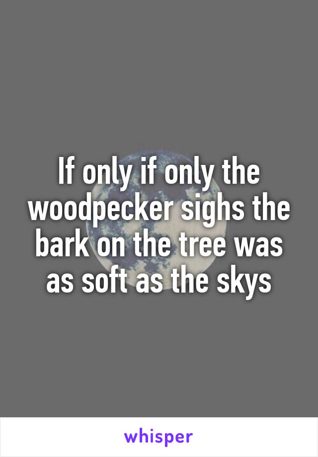If only if only the woodpecker sighs the bark on the tree was as soft as the skys
