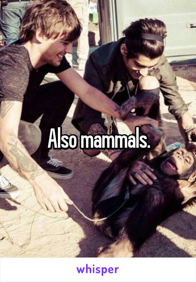 Also mammals.