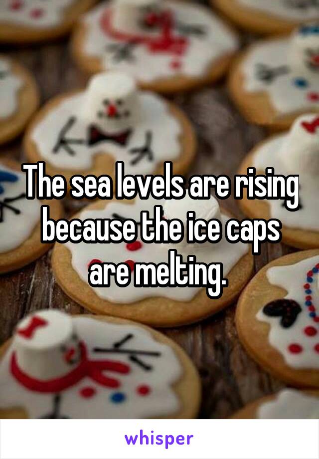 The sea levels are rising because the ice caps are melting. 
