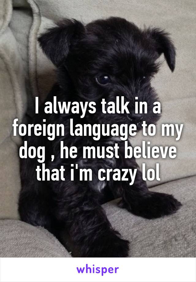 I always talk in a foreign language to my dog , he must believe that i'm crazy lol