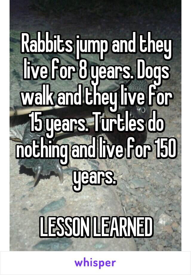 Rabbits jump and they live for 8 years. Dogs walk and they live for 15 years. Turtles do nothing and live for 150 years. 

LESSON LEARNED