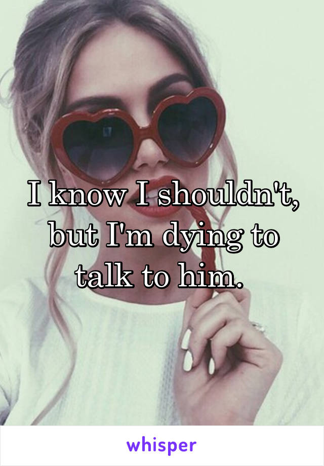 I know I shouldn't, but I'm dying to talk to him. 