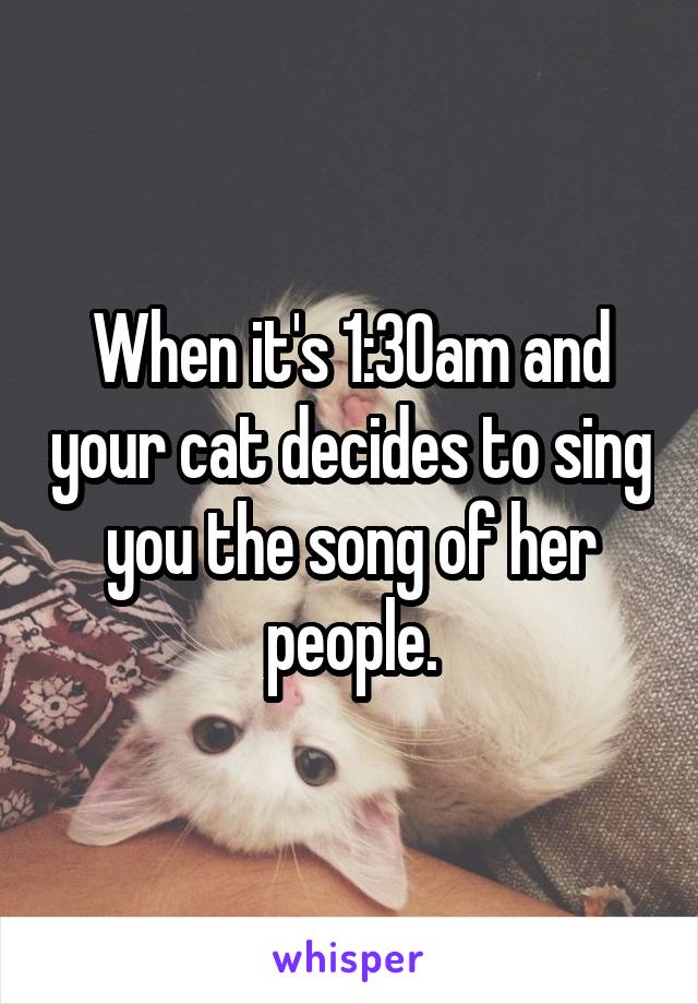 When it's 1:30am and your cat decides to sing you the song of her people.