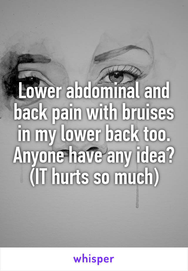 Lower abdominal and back pain with bruises in my lower back too. Anyone have any idea? (IT hurts so much)