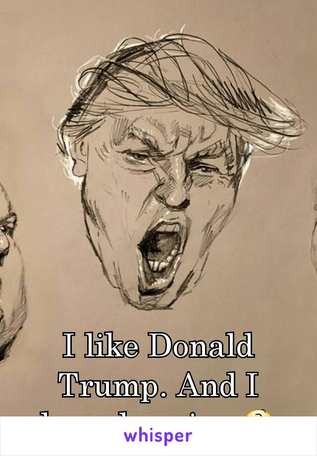 I like Donald Trump. And I hope he wins 😆
