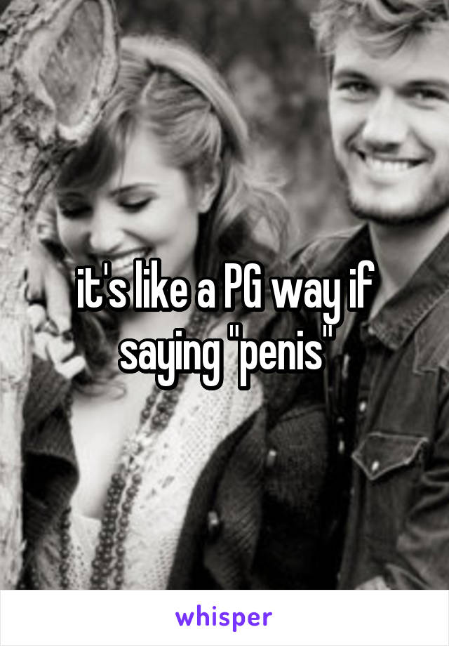 it's like a PG way if saying "penis"