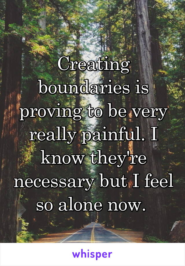 Creating boundaries is proving to be very really painful. I know they're necessary but I feel so alone now. 