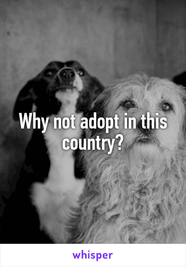 Why not adopt in this country?