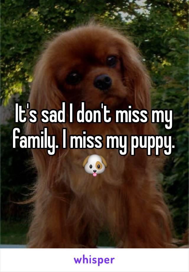 It's sad I don't miss my family. I miss my puppy. 🐶