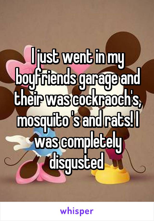 I just went in my boyfriends garage and their was cockraoch's, mosquito 's and rats! I was completely disgusted 